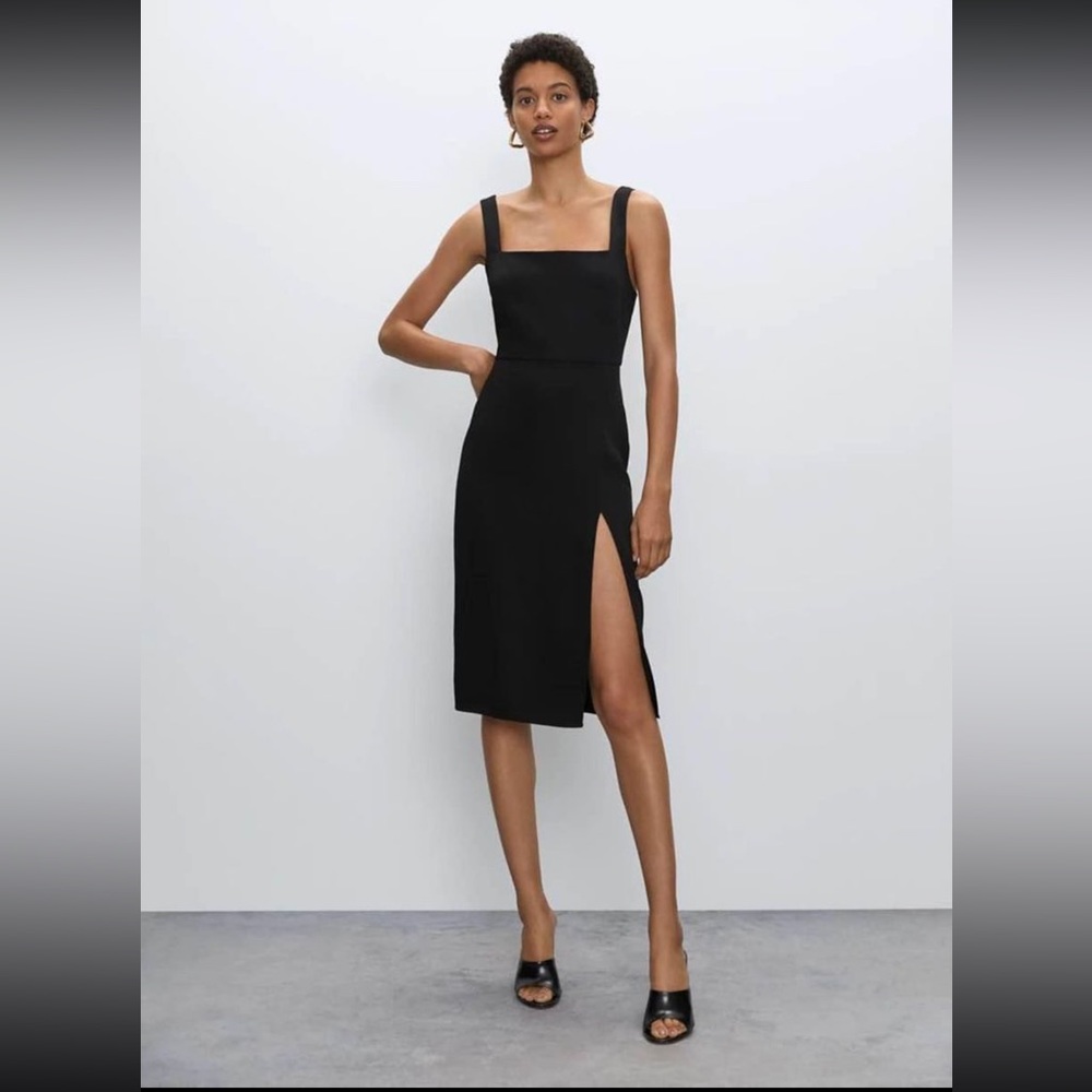 Aritzia Dress